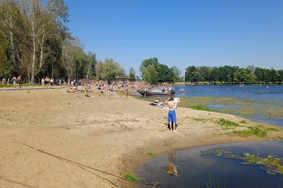 1 июня стартует купальный сезон 2024 в Липецке