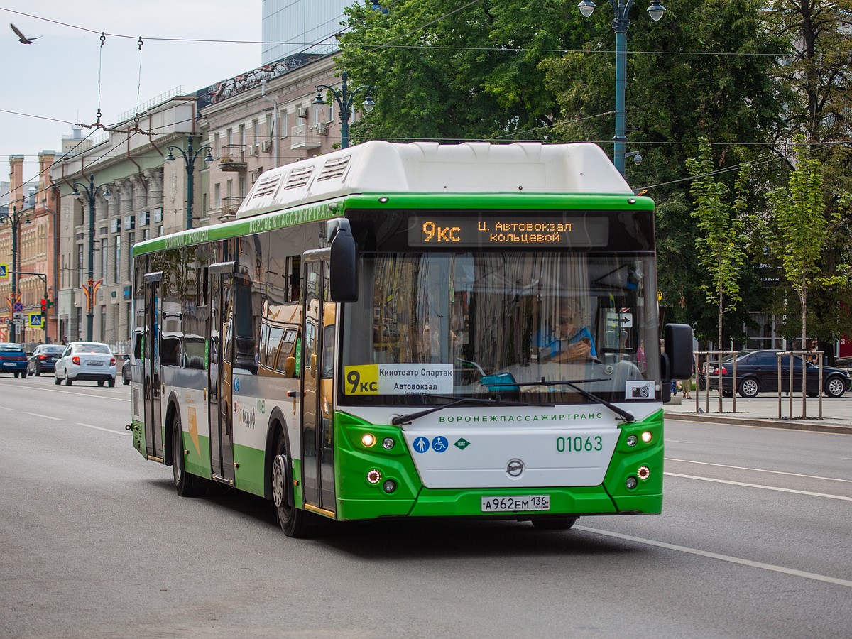 Омские власти рассказали, зачем они хотят перекрасить автобусы - KP.RU