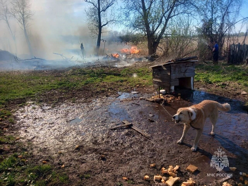 Фото: пресс-служба МЧС России