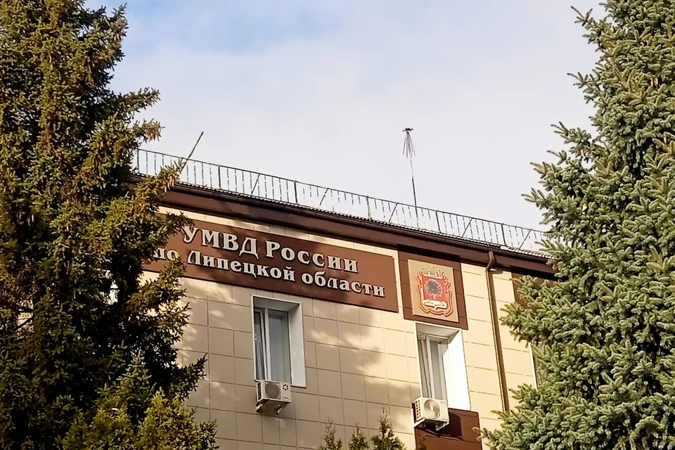 Полицейские установили личности всех подростков, которые избивали прохожих в Липецке