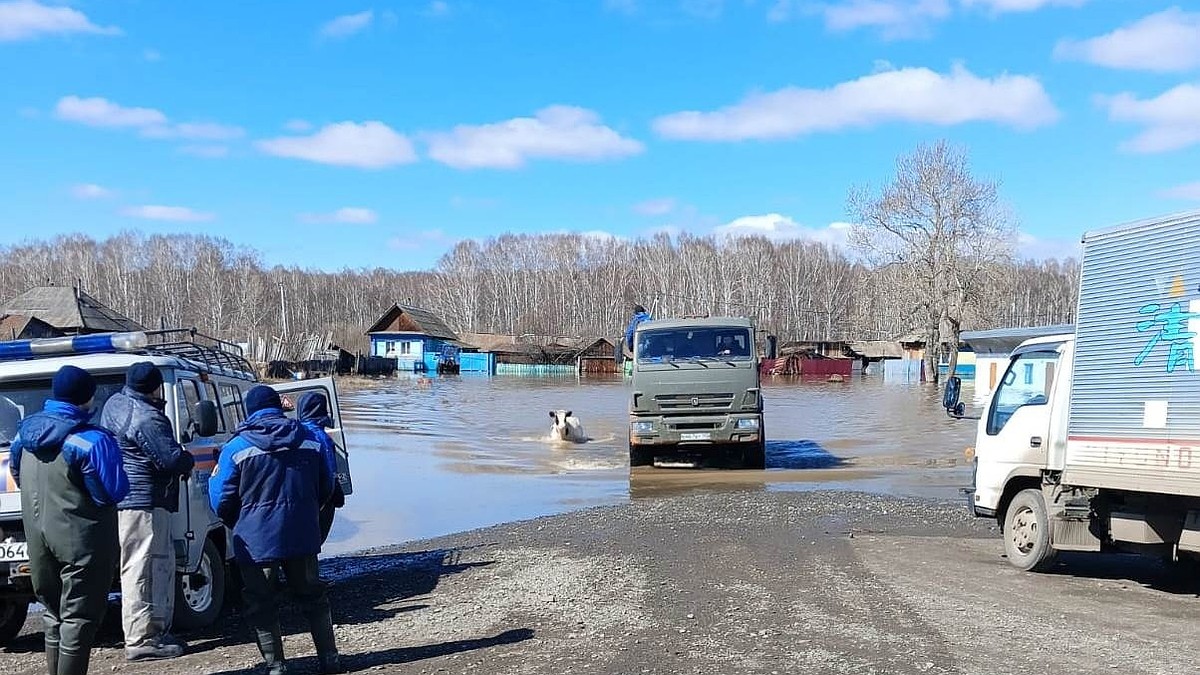 В кузбасской деревне затопило десятки домов из-за паводка - KP.RU