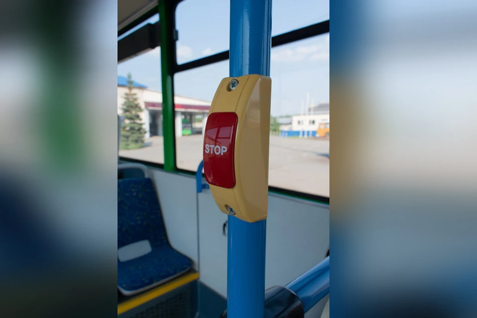 На эти кнопки надо жать, чтобы автобус остановился. ФОто: ОГКУ «Организатор перевозок».