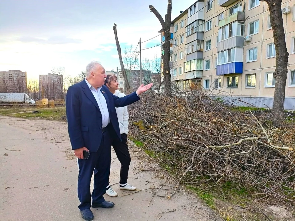 В Ульяновске спилили 4 аварийных дерева и обрезали 14 насаждений по просьбе жителей. ФОТО: тг-канал Ульяновской Гордумы