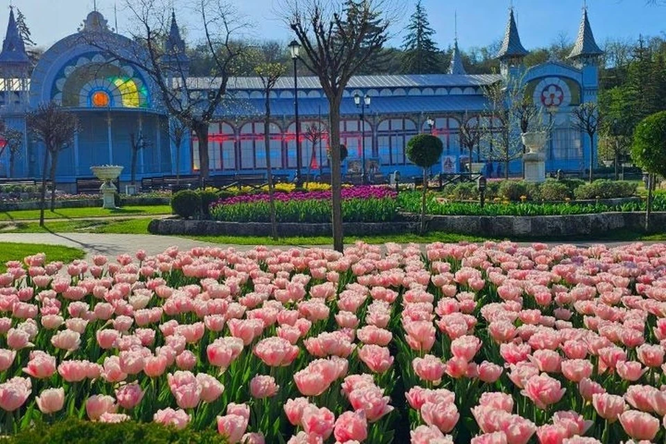 В парке "Цветник" в Пятигорске распустились тысячи цветов. Фото: телеграм-канал главы города Дмитрия Ворошилова voroshilov_dm