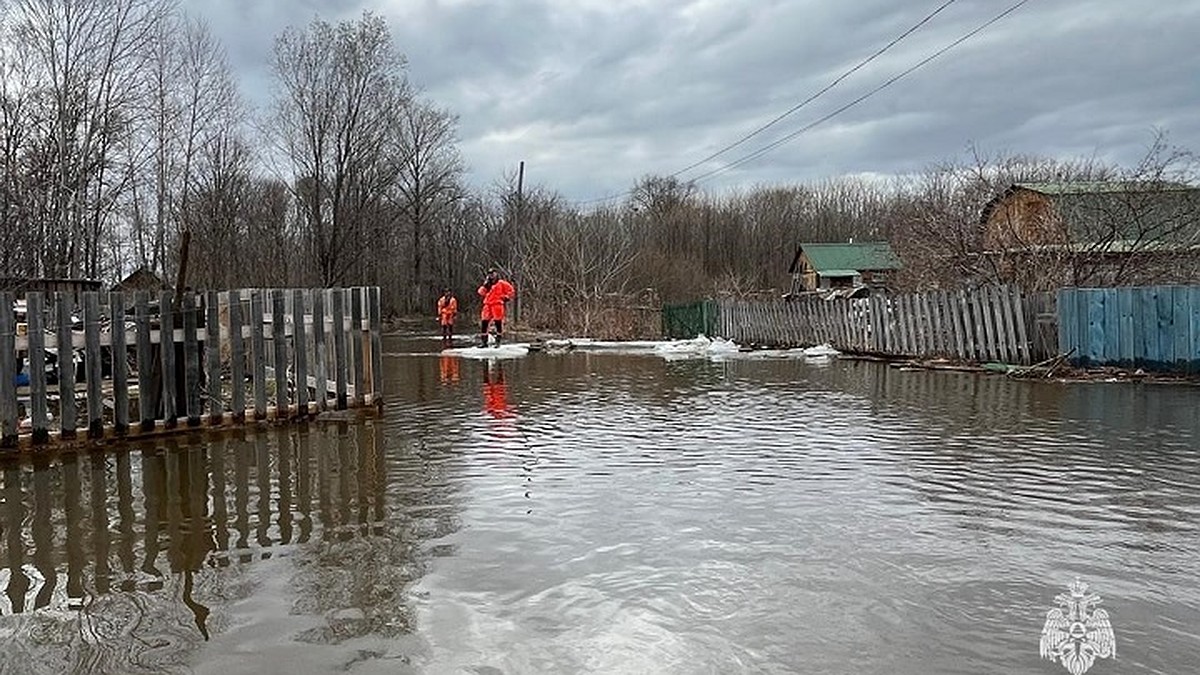 Воды по колено, люди спасают свои дома: жителей затопленных поселков  эвакуируют в Хабаровском крае - KP.RU