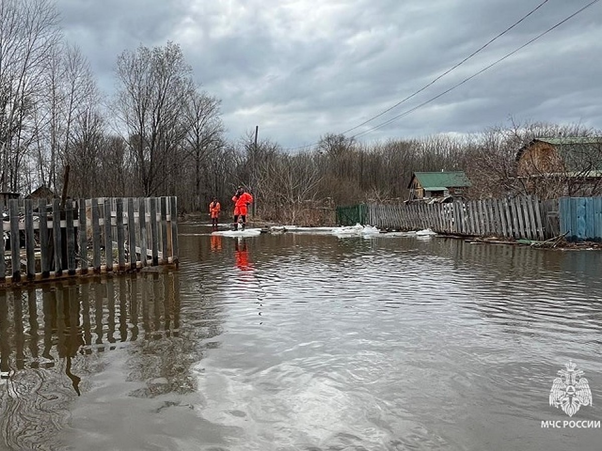 Воды по колено, люди спасают свои дома: жителей затопленных поселков  эвакуируют в Хабаровском крае - KP.RU