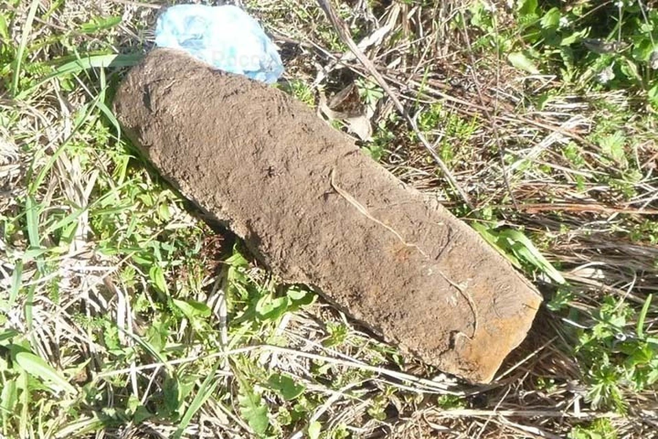 Артиллерийский снаряд нашли под Тверью Фото: ГУ МЧС России по Тверской области
