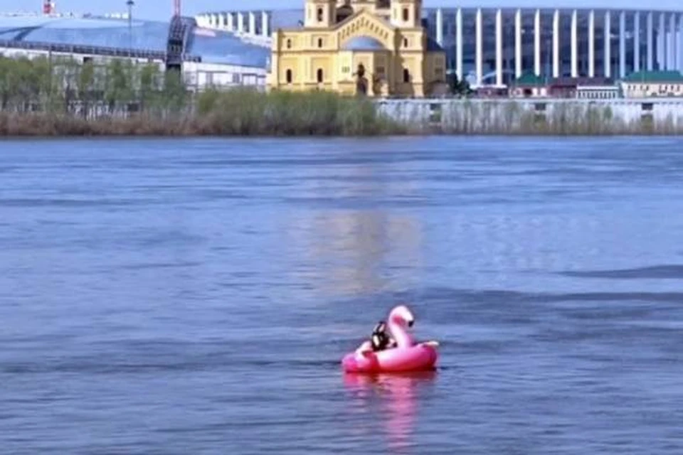 Девушка планировала проплыть на фламинго небольшое расстояние от берега.