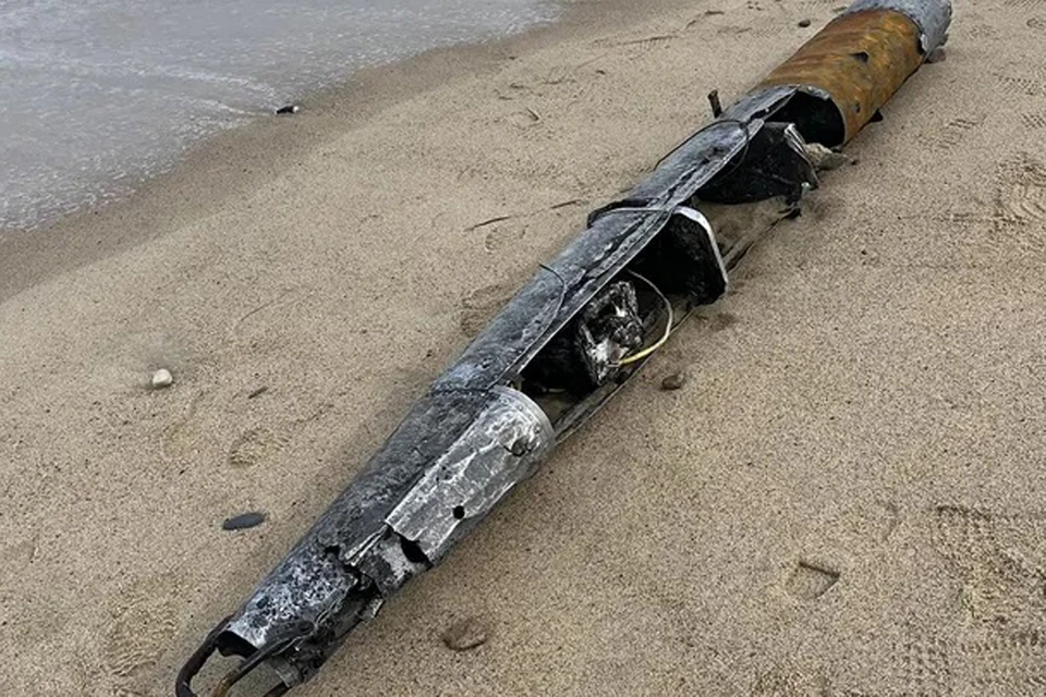 Деталь, похожая на фюзеляж самолета, была найдена сотрудниками пляжа
