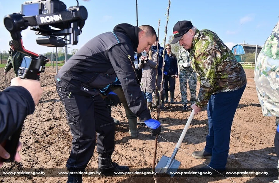 Лукашенко предложил фермеру-айтишнику взять колхоз. Фото: president.gov.by.