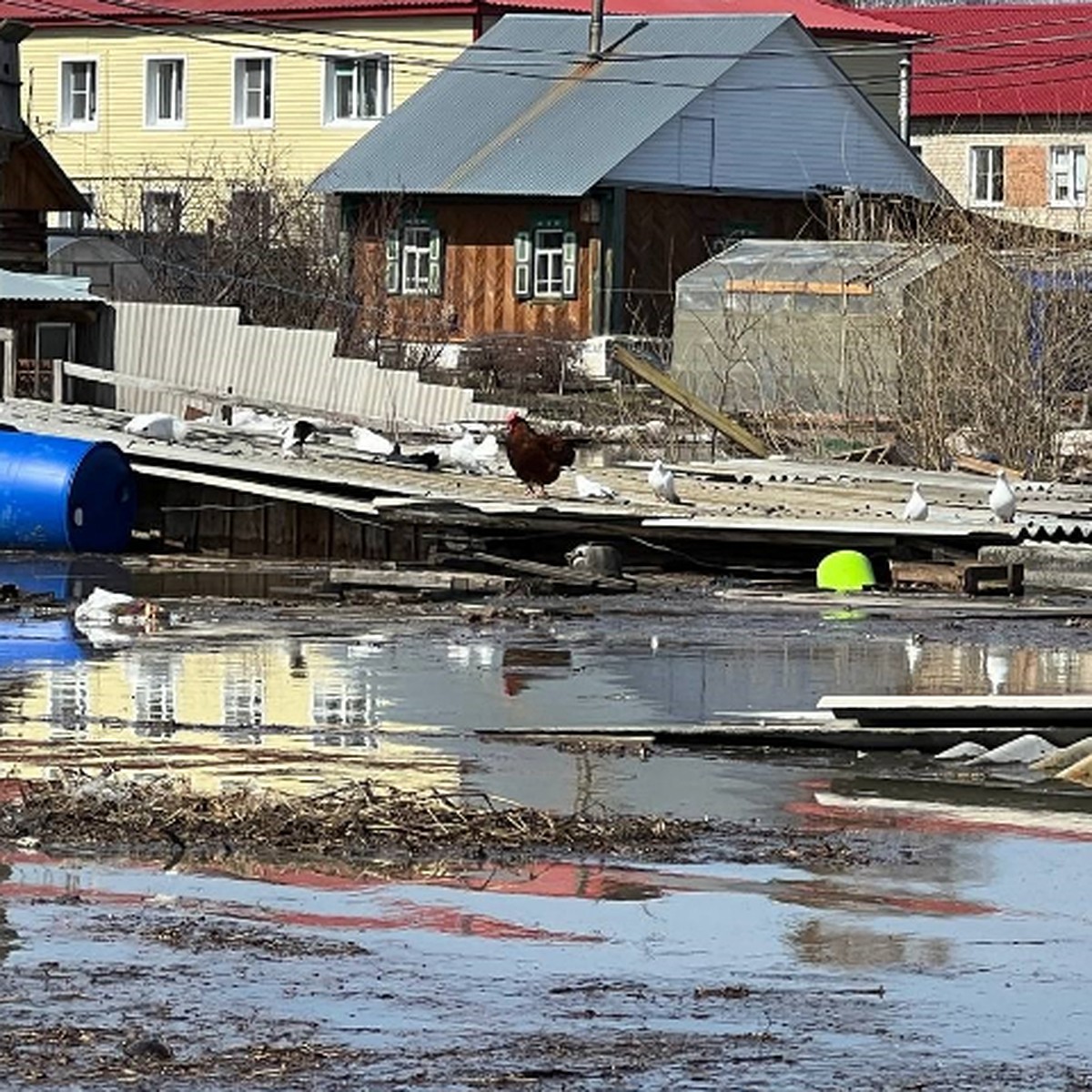 Паводок-2024 в Тюменской области: что происходит в Ишимском районе, где  уровень воды уже побил исторический максимум - KP.RU