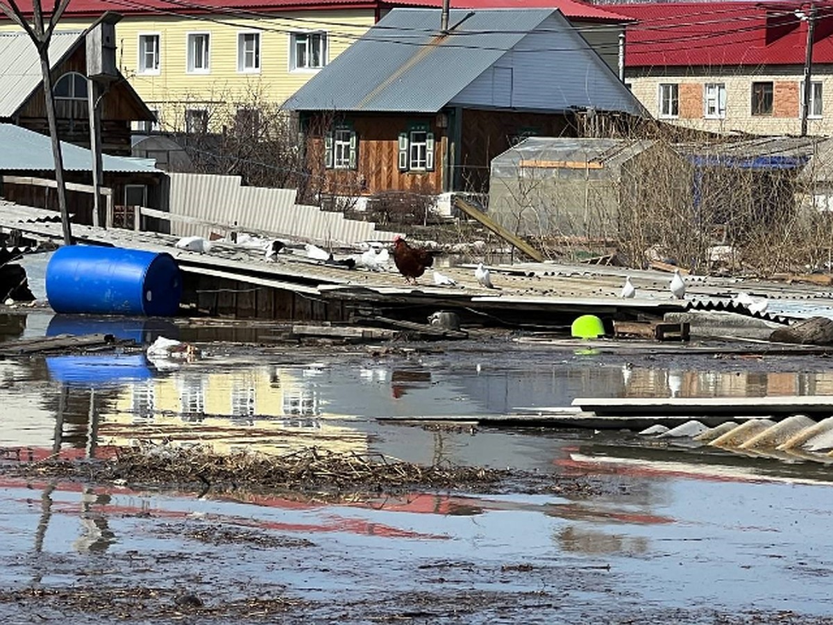 Паводок-2024 в Тюменской области: что происходит в Ишимском районе, где  уровень воды уже побил исторический максимум - KP.RU