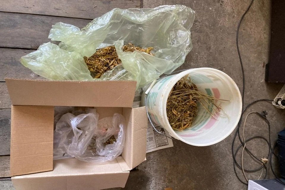Наркотики мужчина хранил "для себя". Фото: Пресс-служба Главного управления МВД России по Ставропольскому краю.
