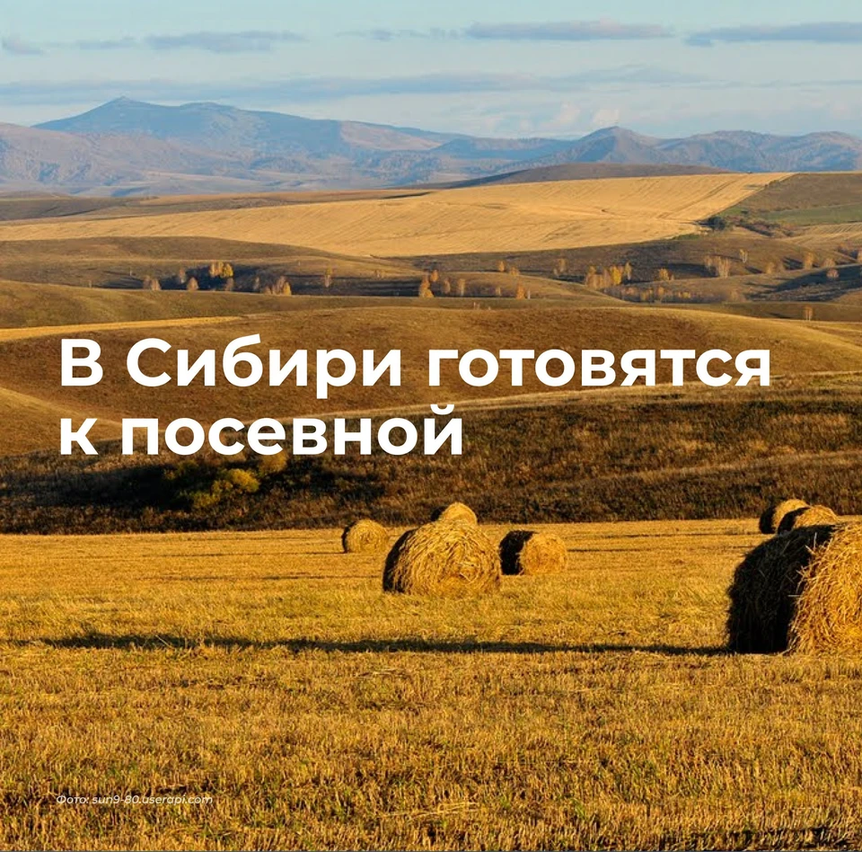 Фото: мэрия Томска