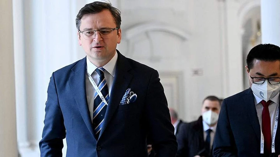 Кулеба назвал ограничения консульских услуг для украинцев за рубежом честными
