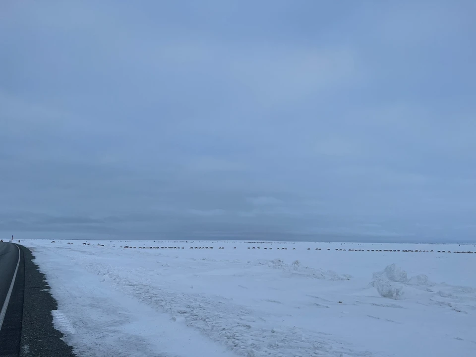 Фото: Эдуард Яунгад