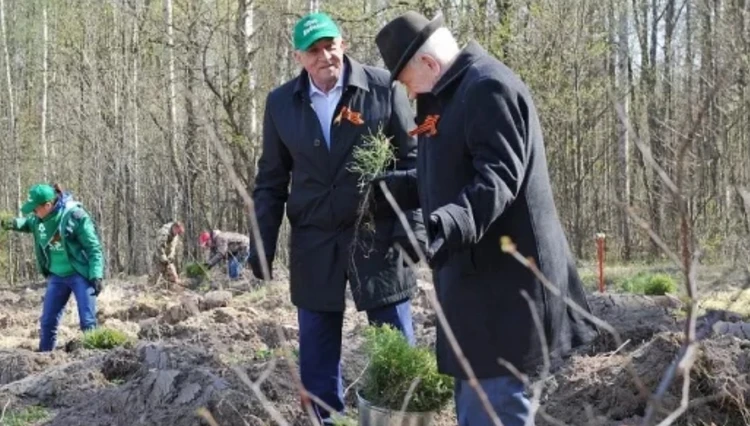 Главные новости Ижевска на утро 26 апреля: высадка деревьев и подорожание продуктов