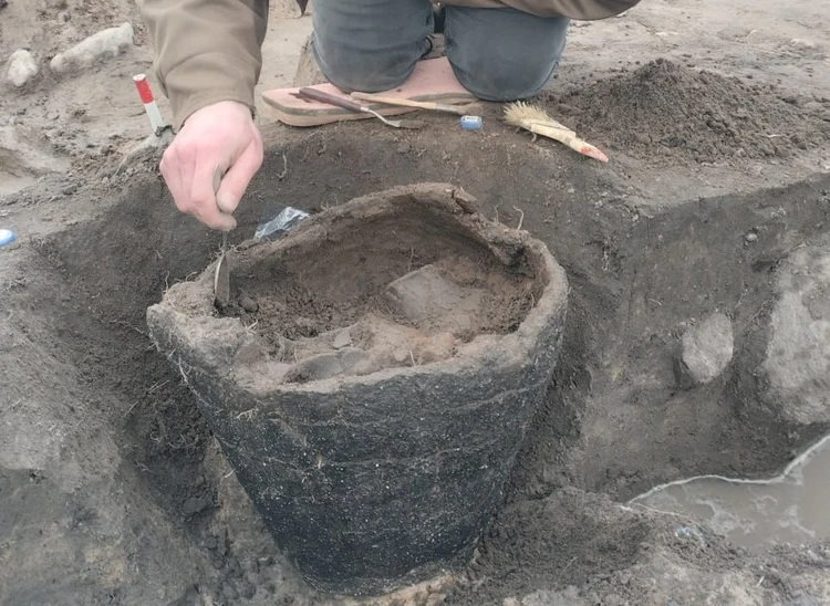 Под Калининградом археологи обнаружили захоронение древнего воина