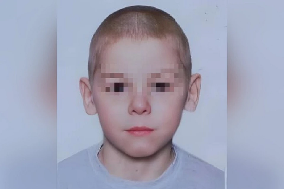 Без вести пропавшего в Шушарах 11-летнего мальчика ищут с 1 мая. Фото: «ЛизаАлерт»