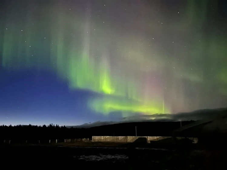 Жители России публикуют яркие фото северного сияния: всё небо раскрасило невероятными красками