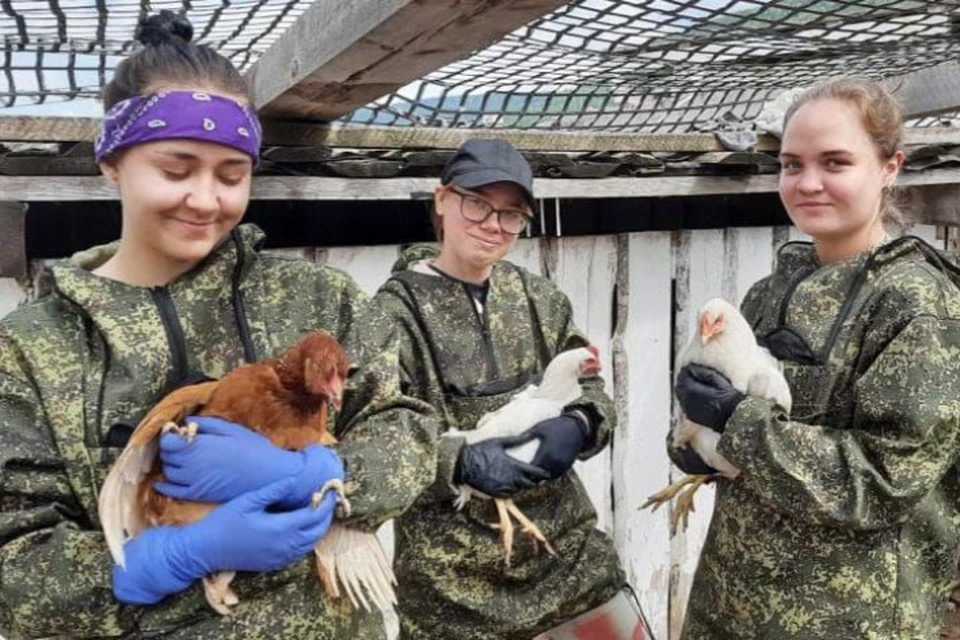 В Иркутской области аграриям возместят 90 % расходов за практику студентов
