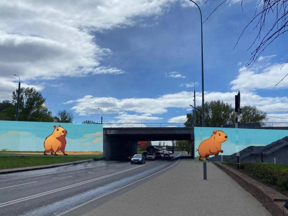 Нижегородцы обсуждают фейковое граффити с капибарами под Канавинским мостом. Фото: группа «Привет, это Нижний!» во «ВКонтакте»