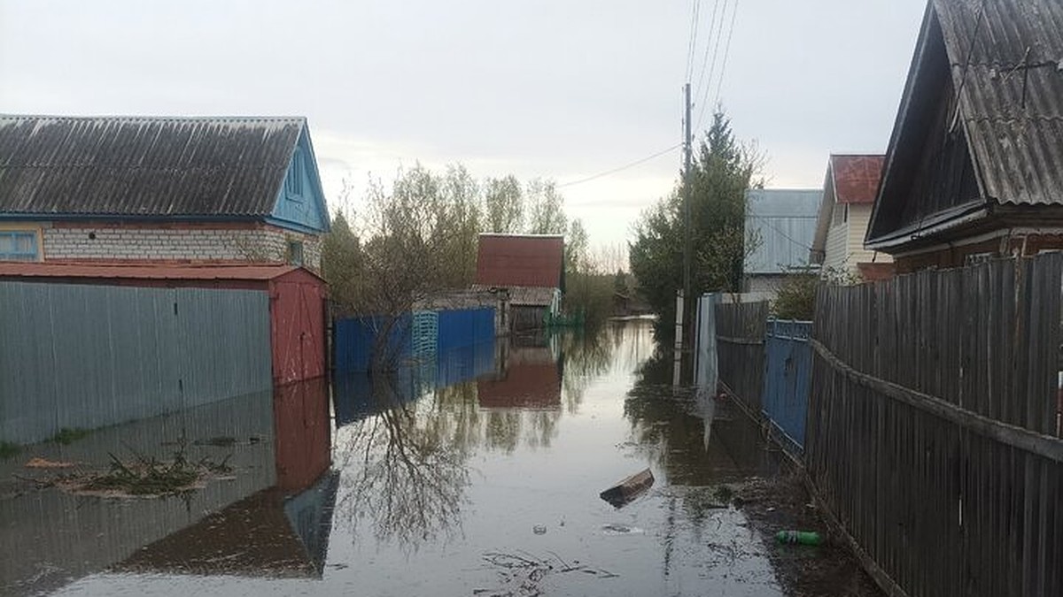 Теряем последнее жилье»: собственники затопленных дач в Тюменской области  просят спасти от паводка - KP.RU