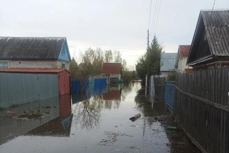 «Теряем последнее жилье»: собственники затопленных дач в Тюменской области просят спасти от паводка
