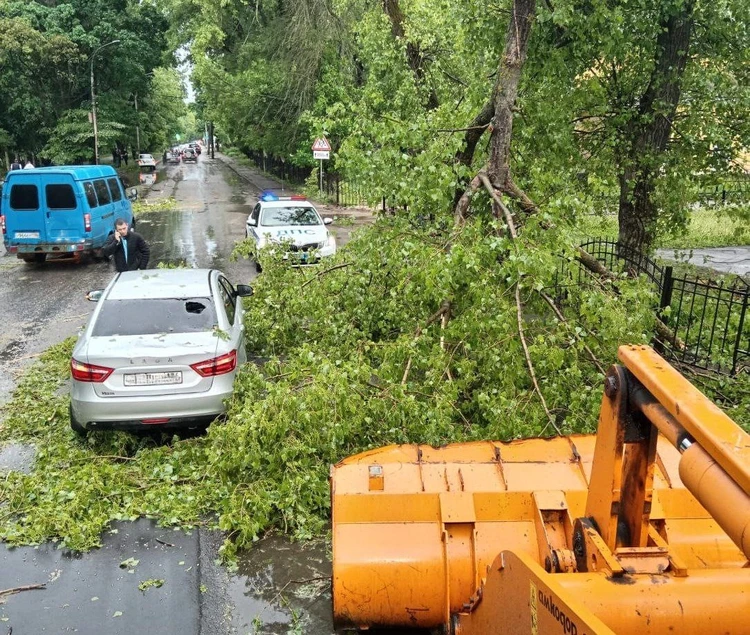 Сорванные крыши и поваленные деревья: ливень и штормовой ветер обрушились на Воронеж 7 мая