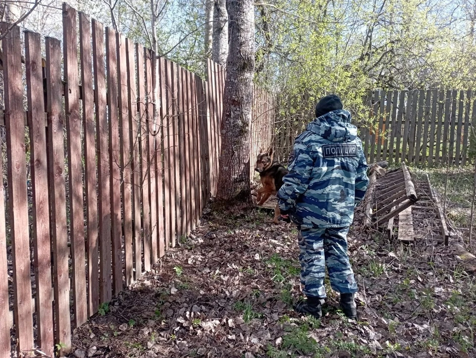 Фото: пресс-служба УМВД России по Костромской области