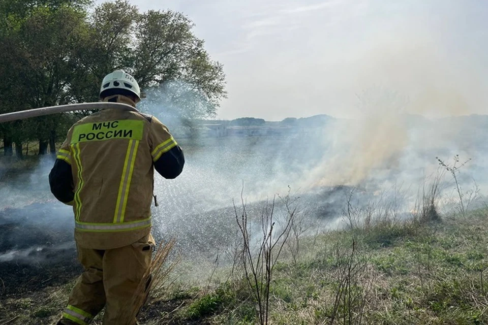 В ЛНР 13 мая спасатели выезжали 22 раза на тушение пожаров, 16 из которых — природные. Фото - МЧС ЛНР