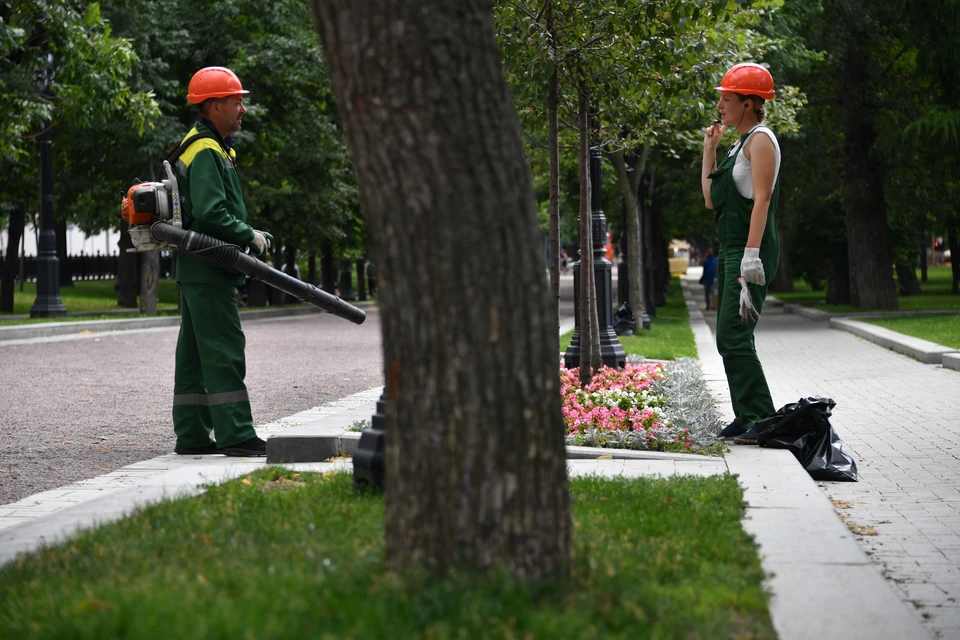 Ставрополь попал в список лидеров городов России по озеленению и благоустройству