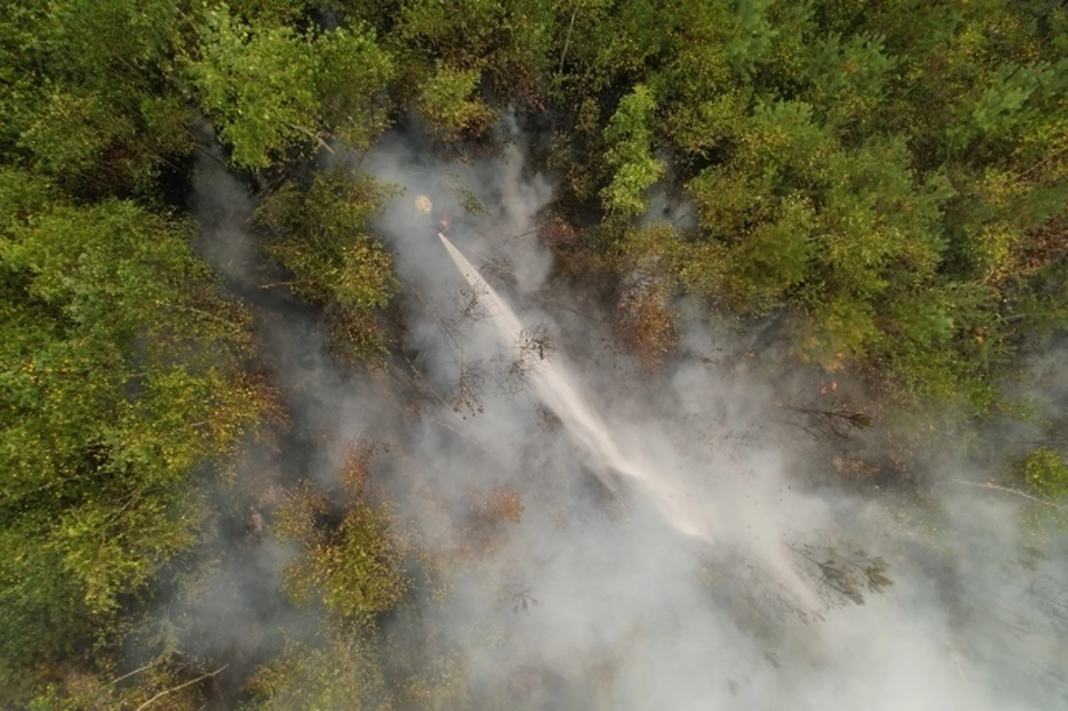 Хабаровский край оказался не готов к лесным пожарам в 2024 году