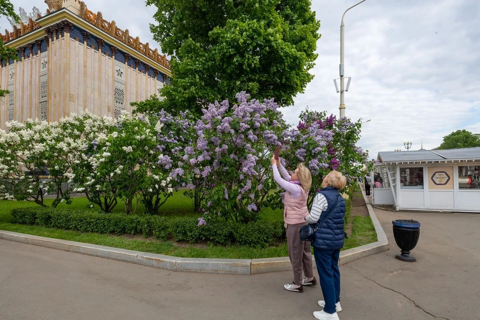 Синоптики рассказали о погоде в Новосибирске на выходных 18 и 19 мая.