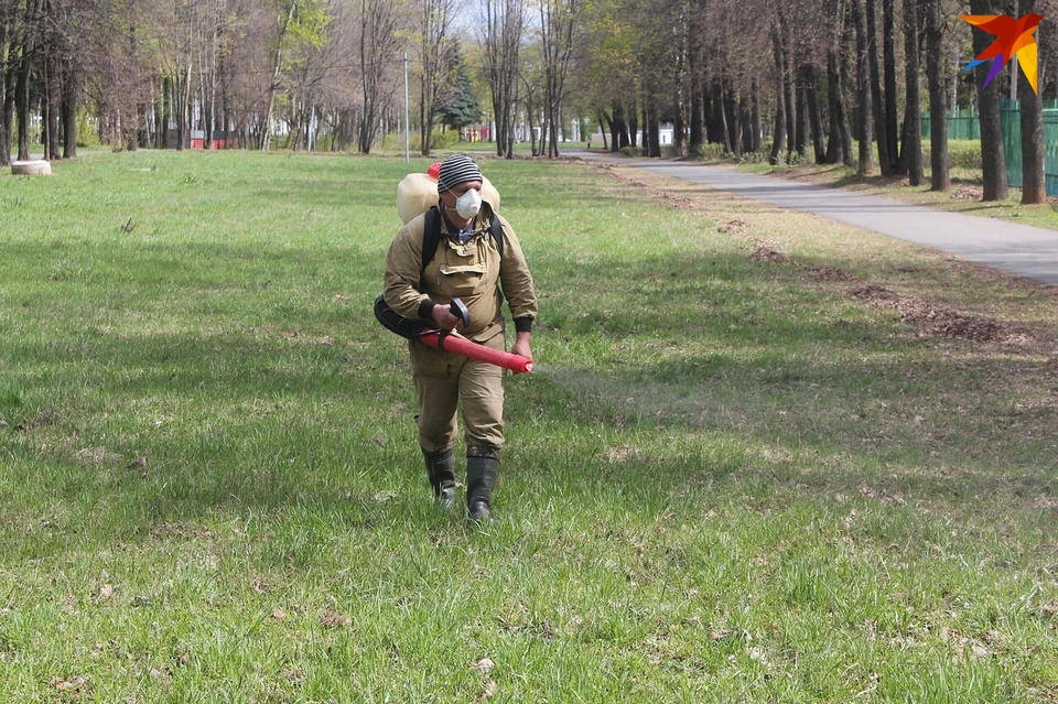 Жителей и гостей столицы Удмуртии просят избегать прогулок по участкам, где проходит обработка от клещей. Фото: Акеев