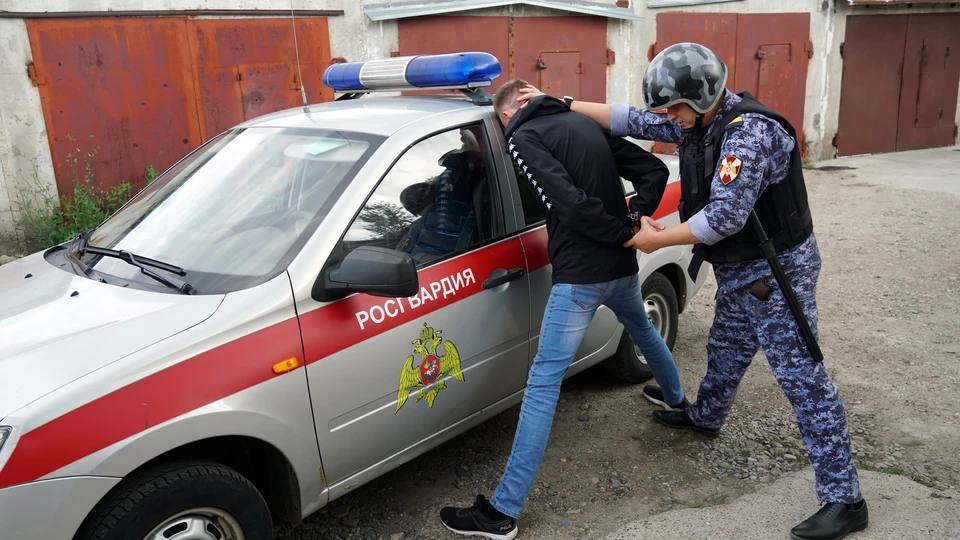 В Ульяновске 21-летний рецидивист украл из магазина сыр и детскую игрушку | ФОТО: Управление Росгвардии РФ по Ульяновской области