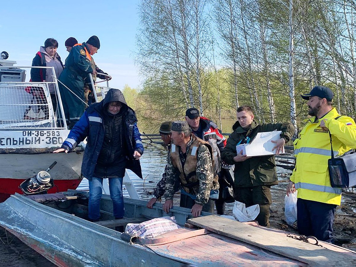 В Омской области «Новые люди» привезли в Усть-Ишим гуманитарную помощь и  спасли котят - KP.RU