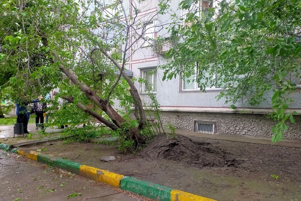 Непогода устроила в городе погром.
