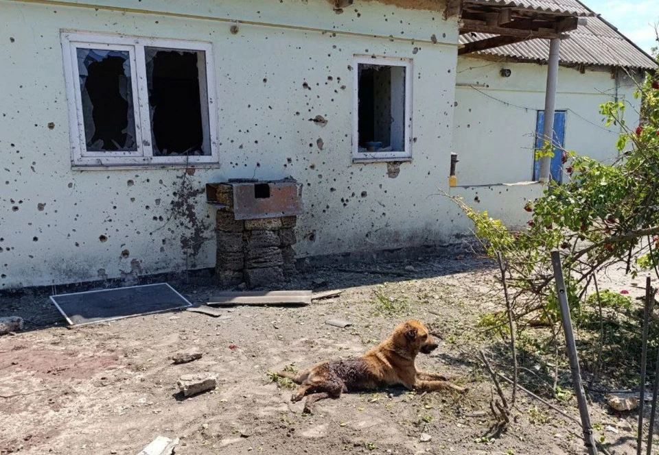 Фото: администрация городского округа Новая Каховка.