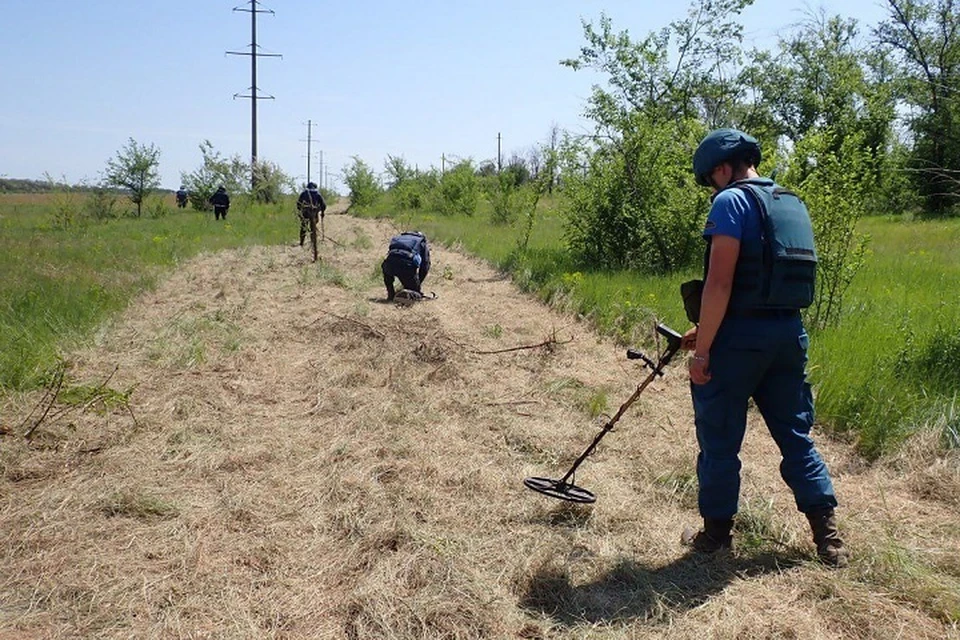 В ДНР за сутки уничтожили более 110 единиц взрывоопасных предметов. Фото: МЧС России по ДНР