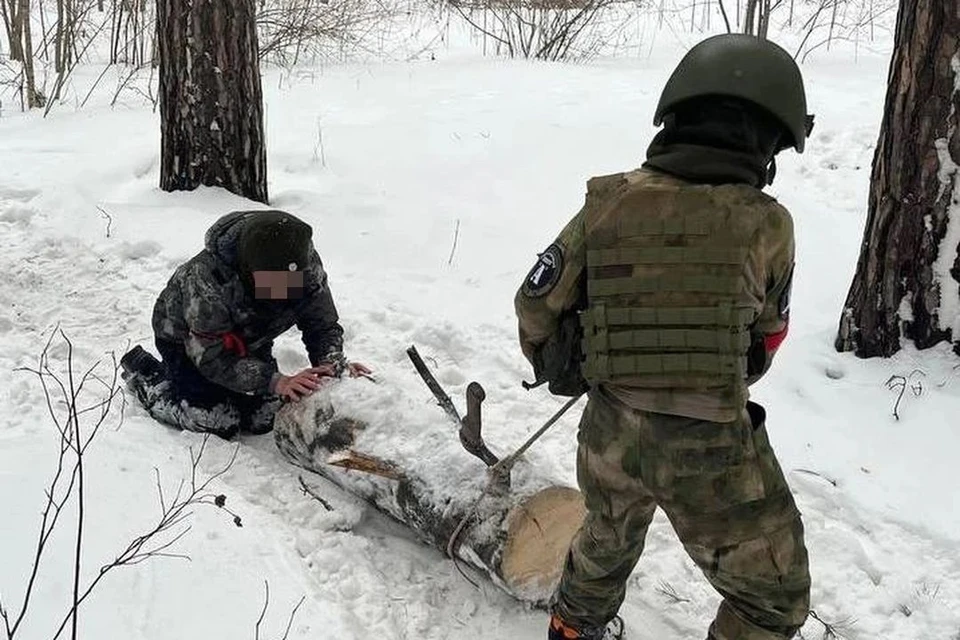 Мальчик мог удариться головой о бревно. Фото: предоставлено Данилом Ш.