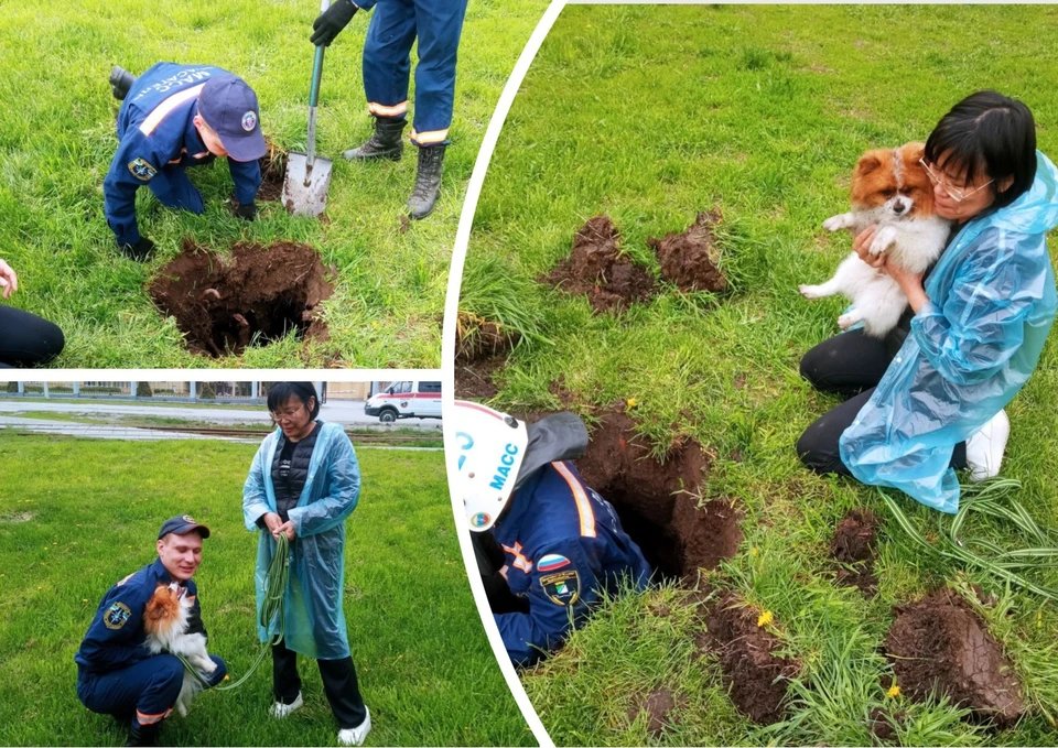В Новосибирске спасли собаку, провалившуюся в пятиметровую яму на прогулке. Фото: МАСС.