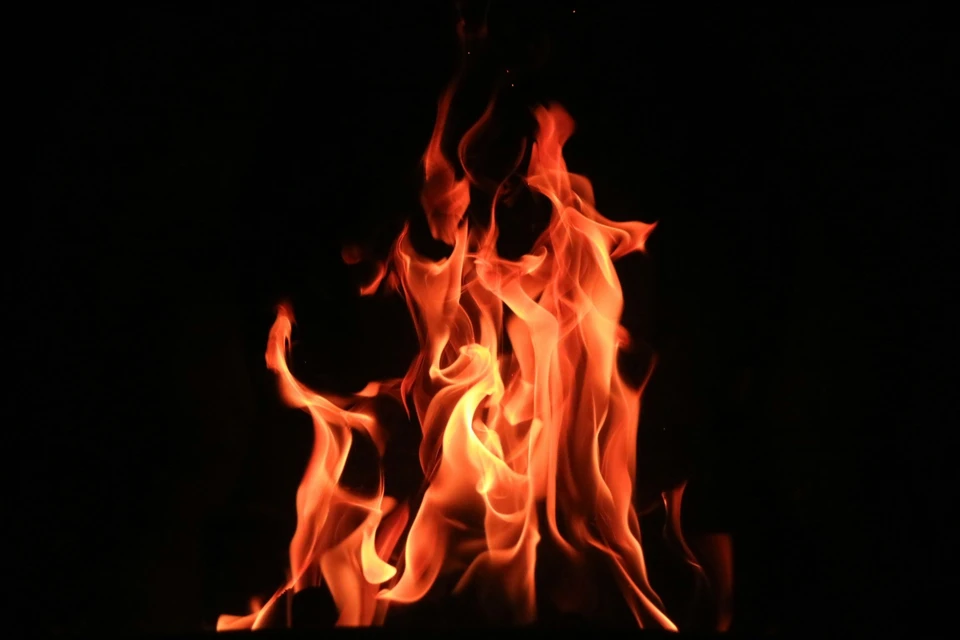 Фото - Unsplash.com