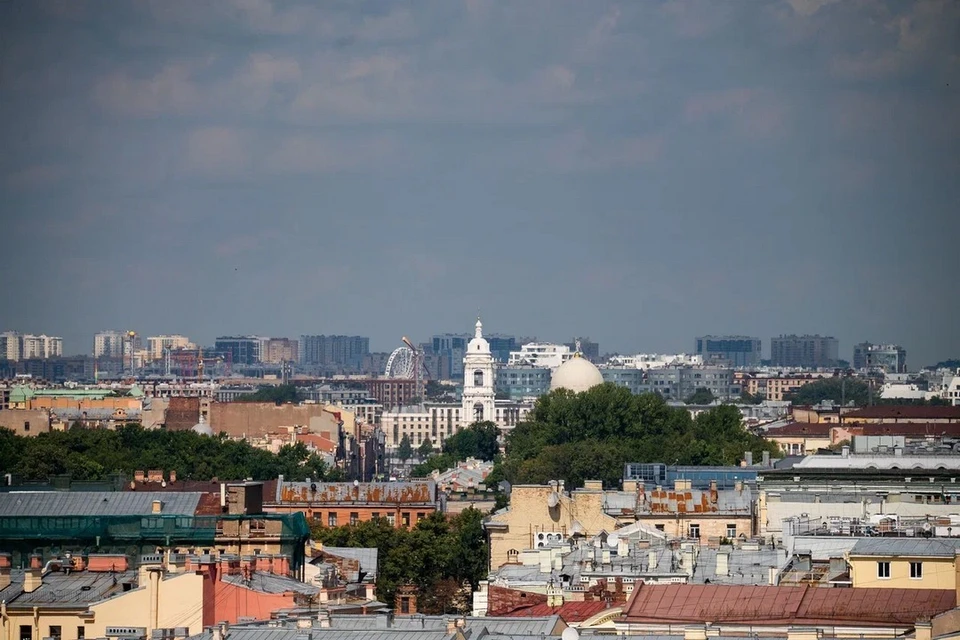 Температура в Петербурге упадет в начале лета - KP.RU