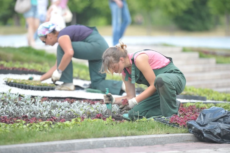 В Новосибирске разобьют цветочные клумбы с ордынским орнаментом.