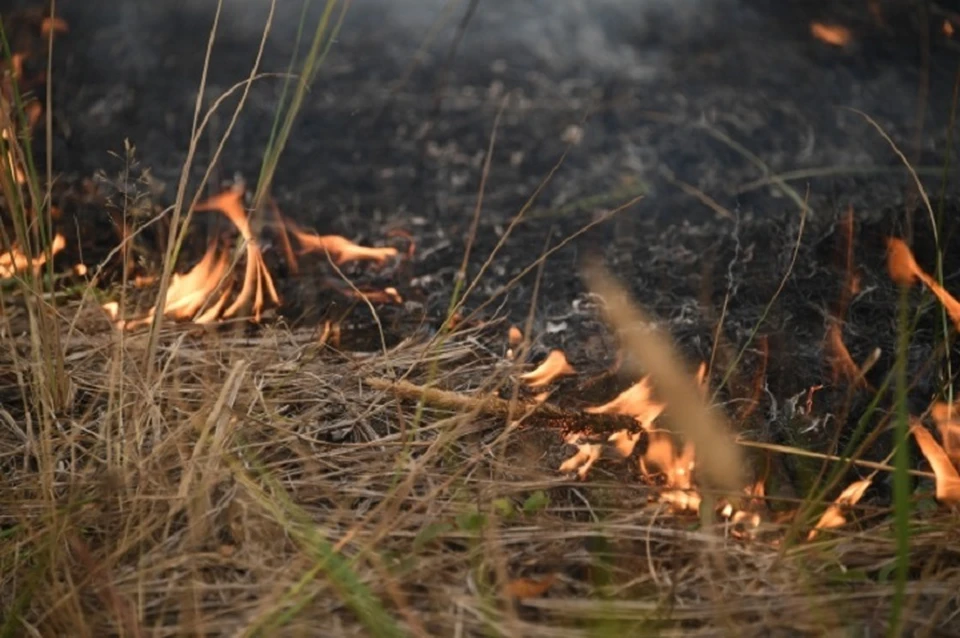В МЧС ЛНР предупредили жителей большей части республики о чрезвычайной пожарной опасности
