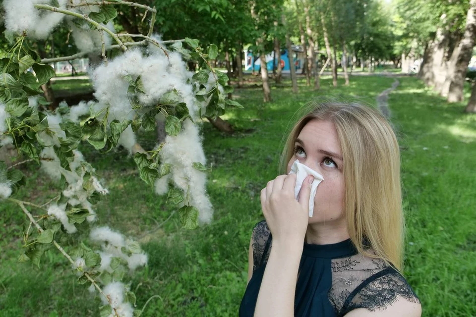 Новосибирский врач рассказала, как защитить себя в сезон аллергий.