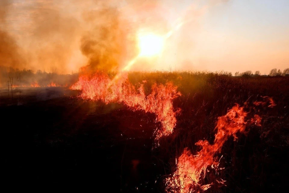 В Крыму ожидается чрезвычайная пожарная опасность до 1 июня