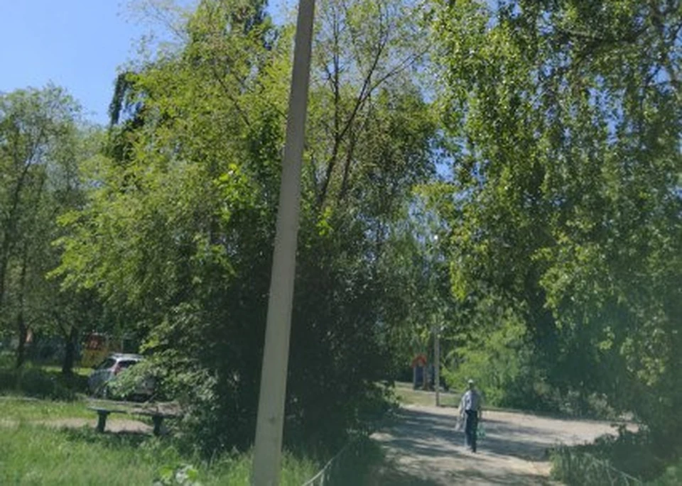 В Ульяновске на Ефремова установили 7 новых светильников. ФОТО: администрация Ульяновска