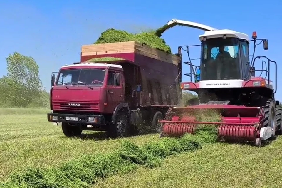 В ДНР набирает обороты кампания по уборке многолетних трав для заготовки сенажа. Фото: Минагропром ДНР